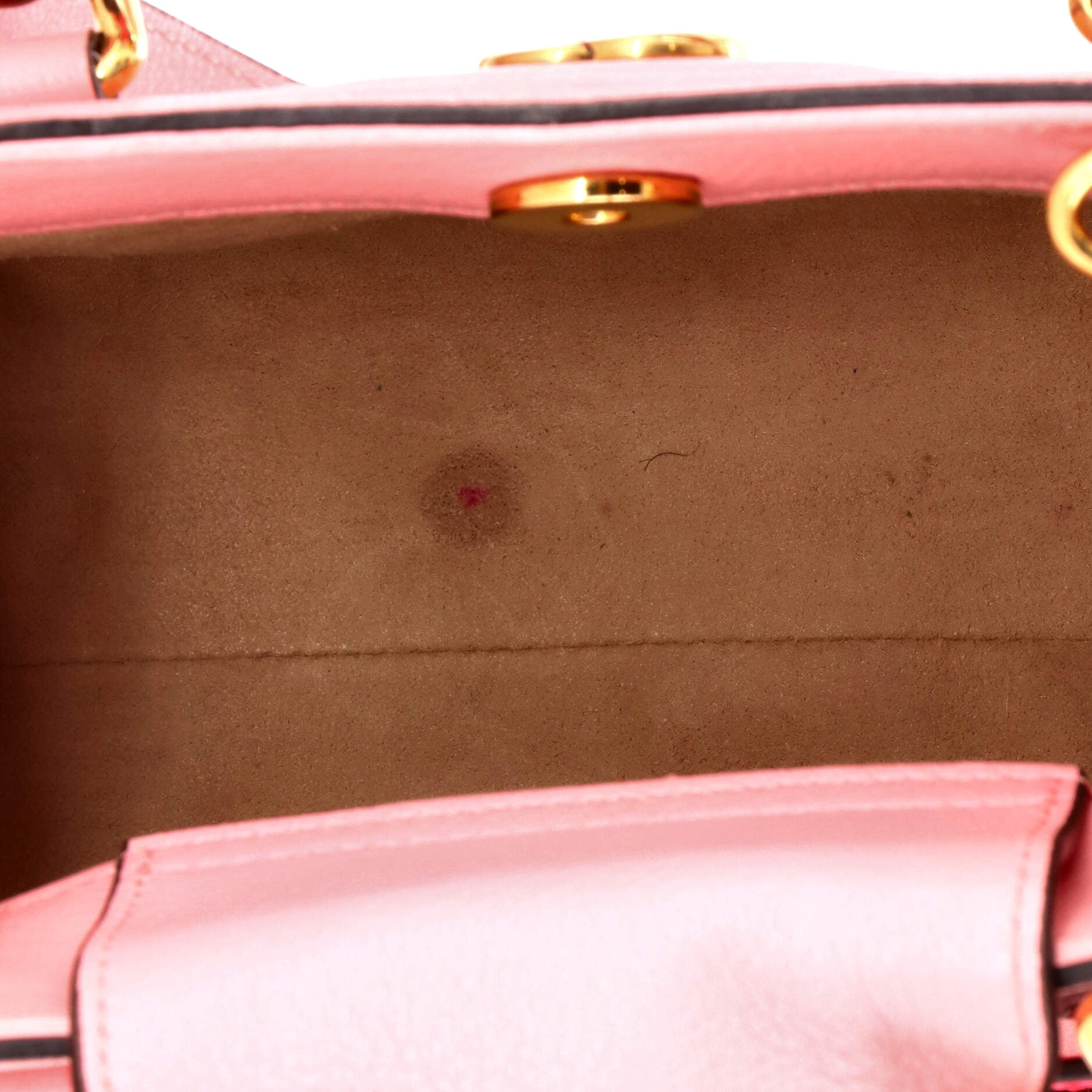 Diana NM Bamboo Handle Tote Leather Mini