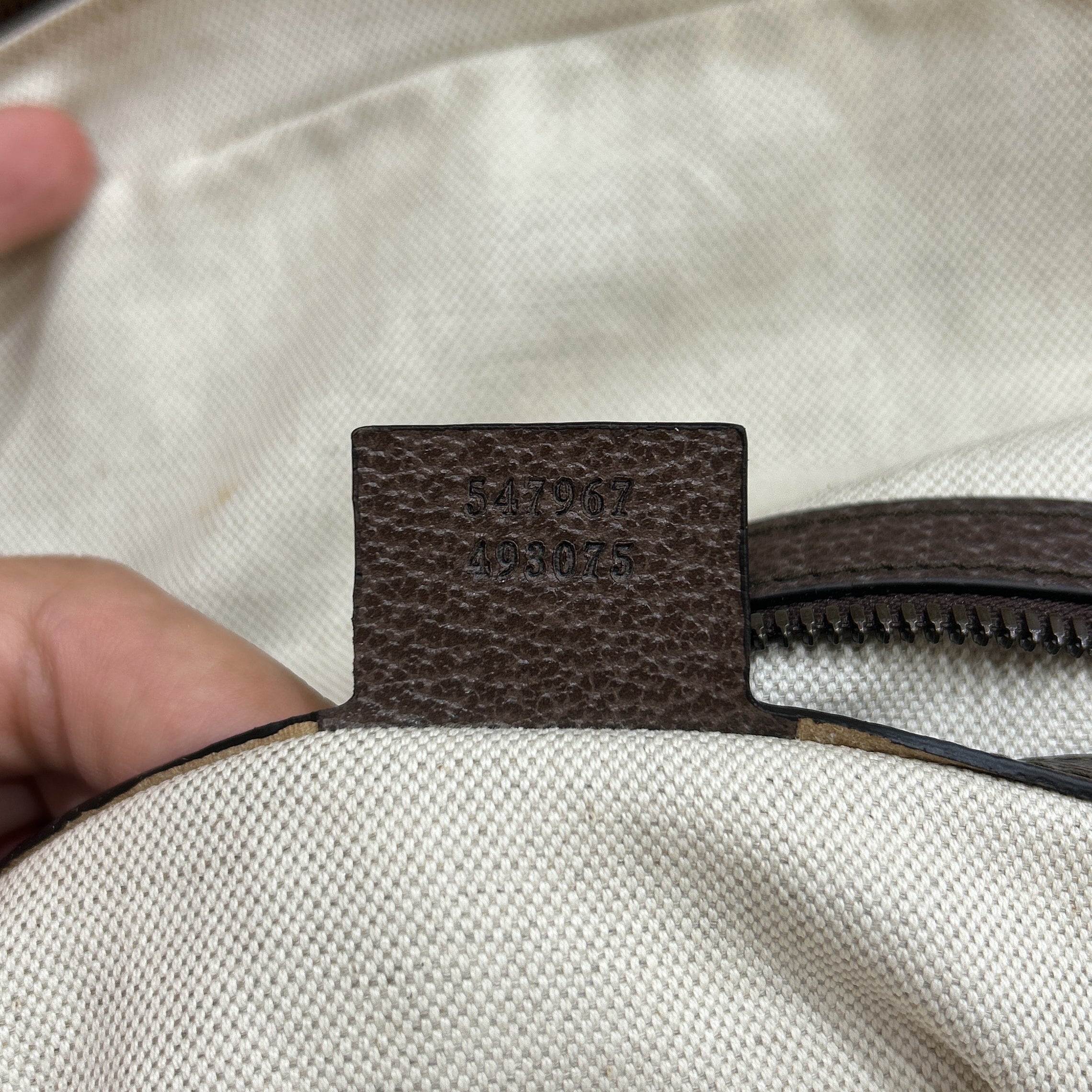 Ophidia Backpack GG Coated Canvas Medium