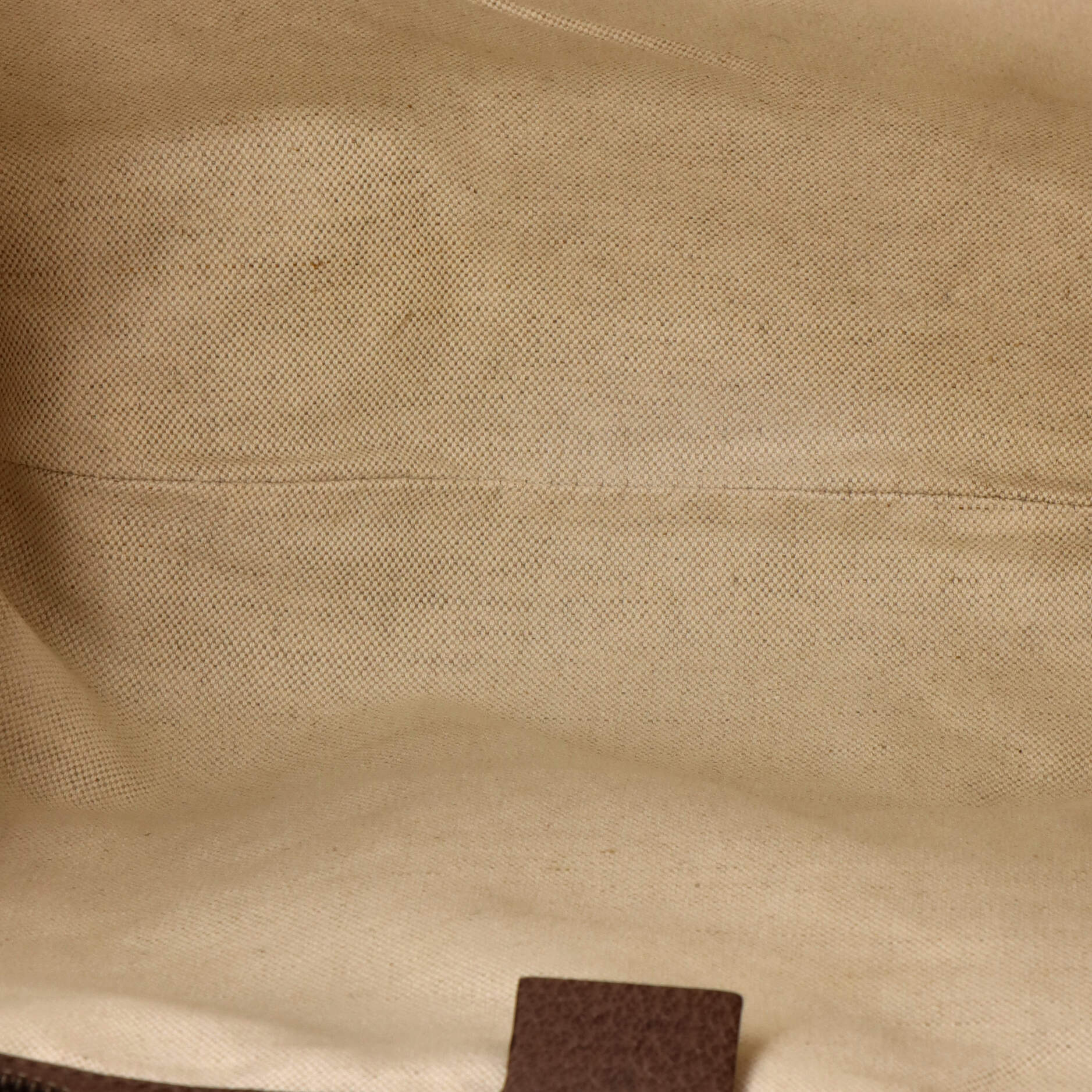 Ophidia Half Moon Hobo GG Coated Canvas Large