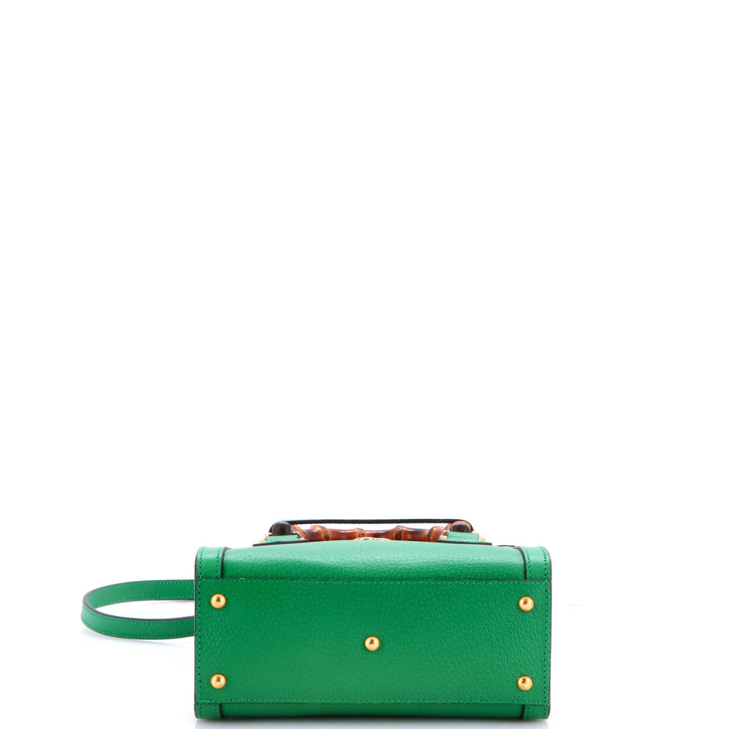 Diana NM Bamboo Handle Tote Leather Mini