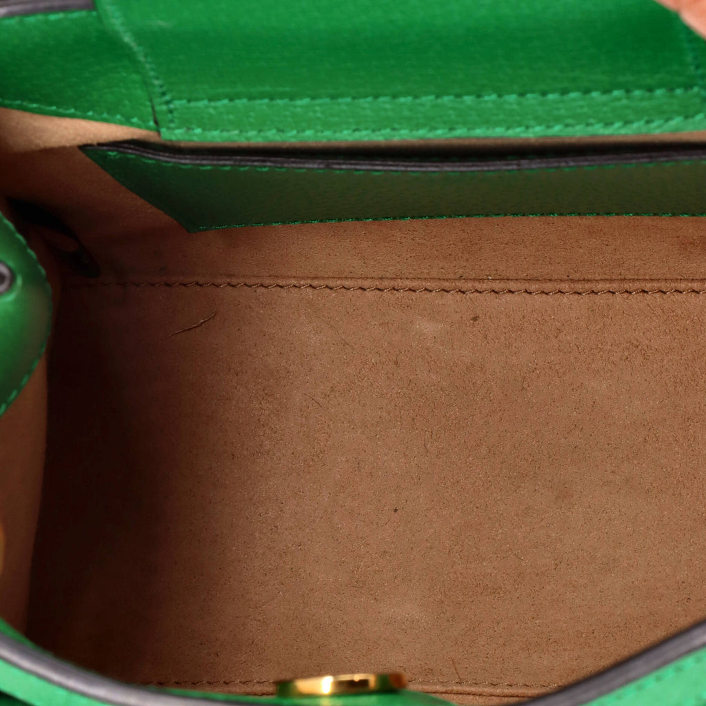 Diana NM Bamboo Handle Tote Leather Mini