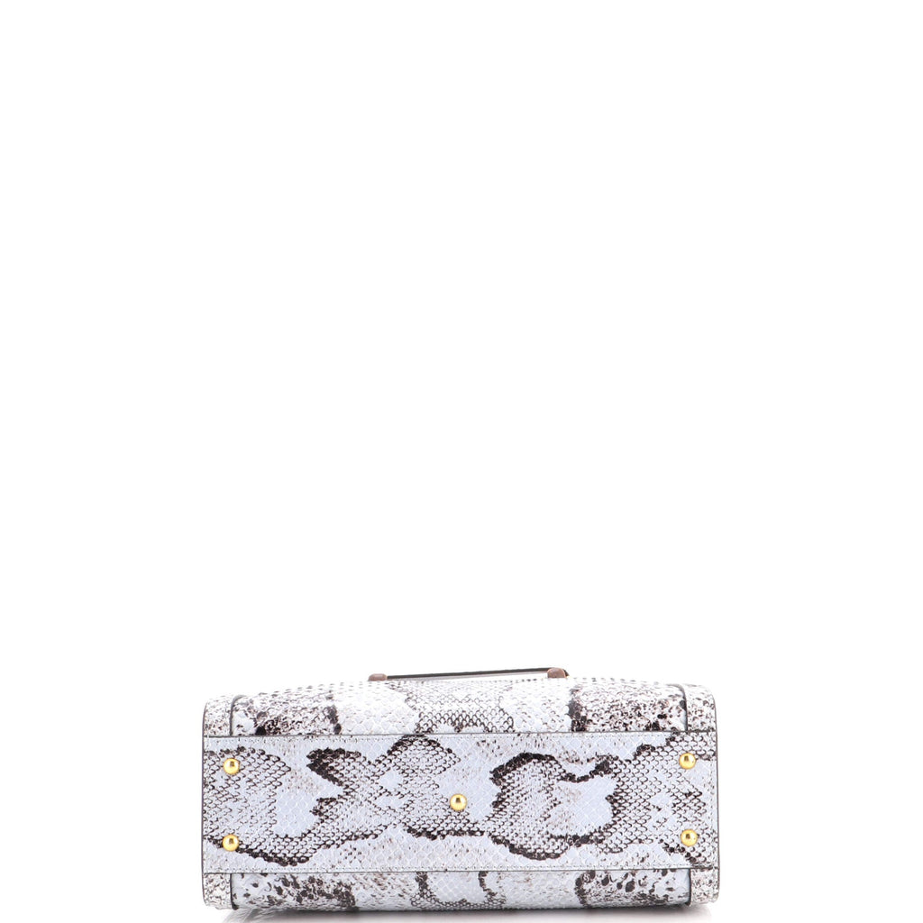 Diana NM Bamboo Handle Tote Python Small