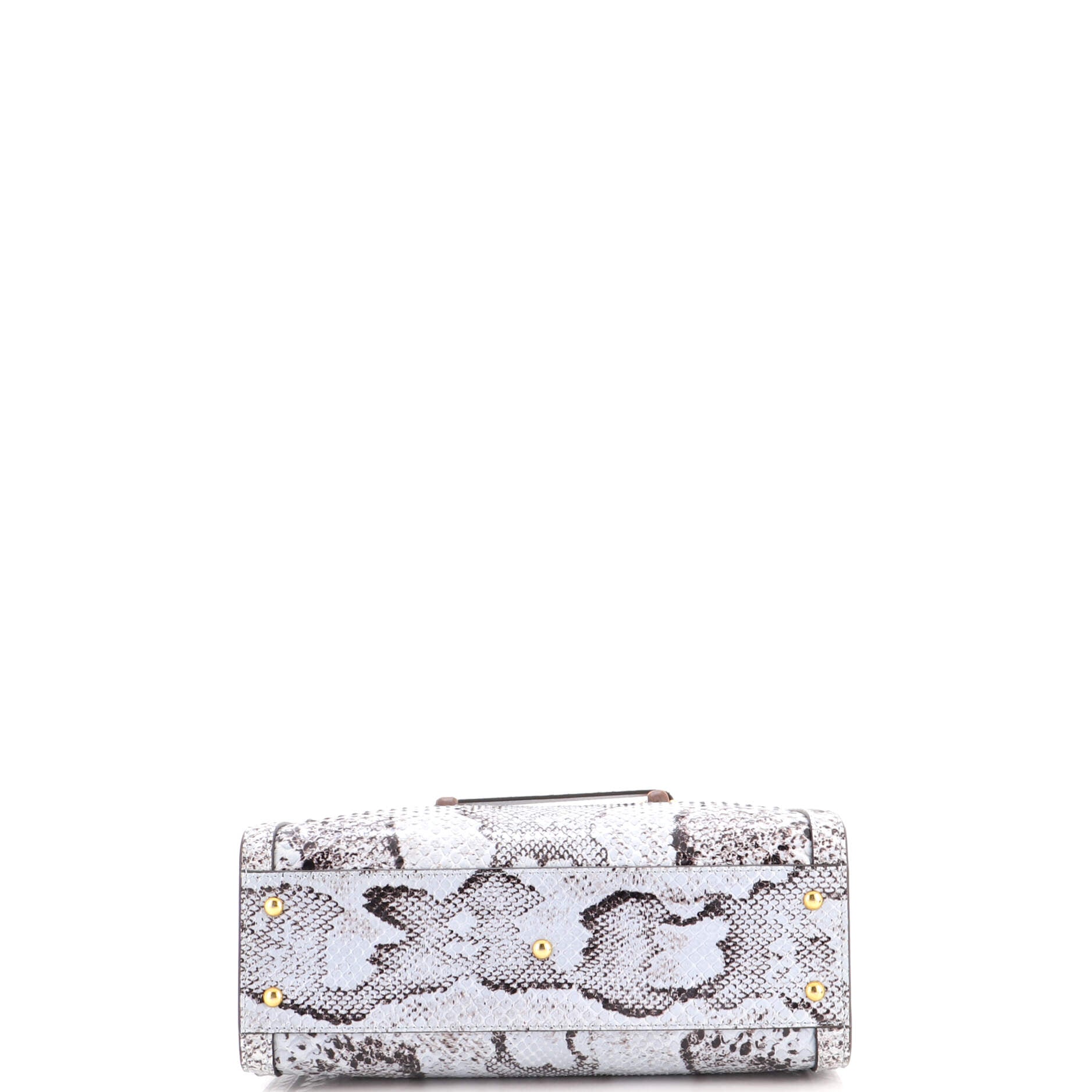 Diana NM Bamboo Handle Tote Python Small