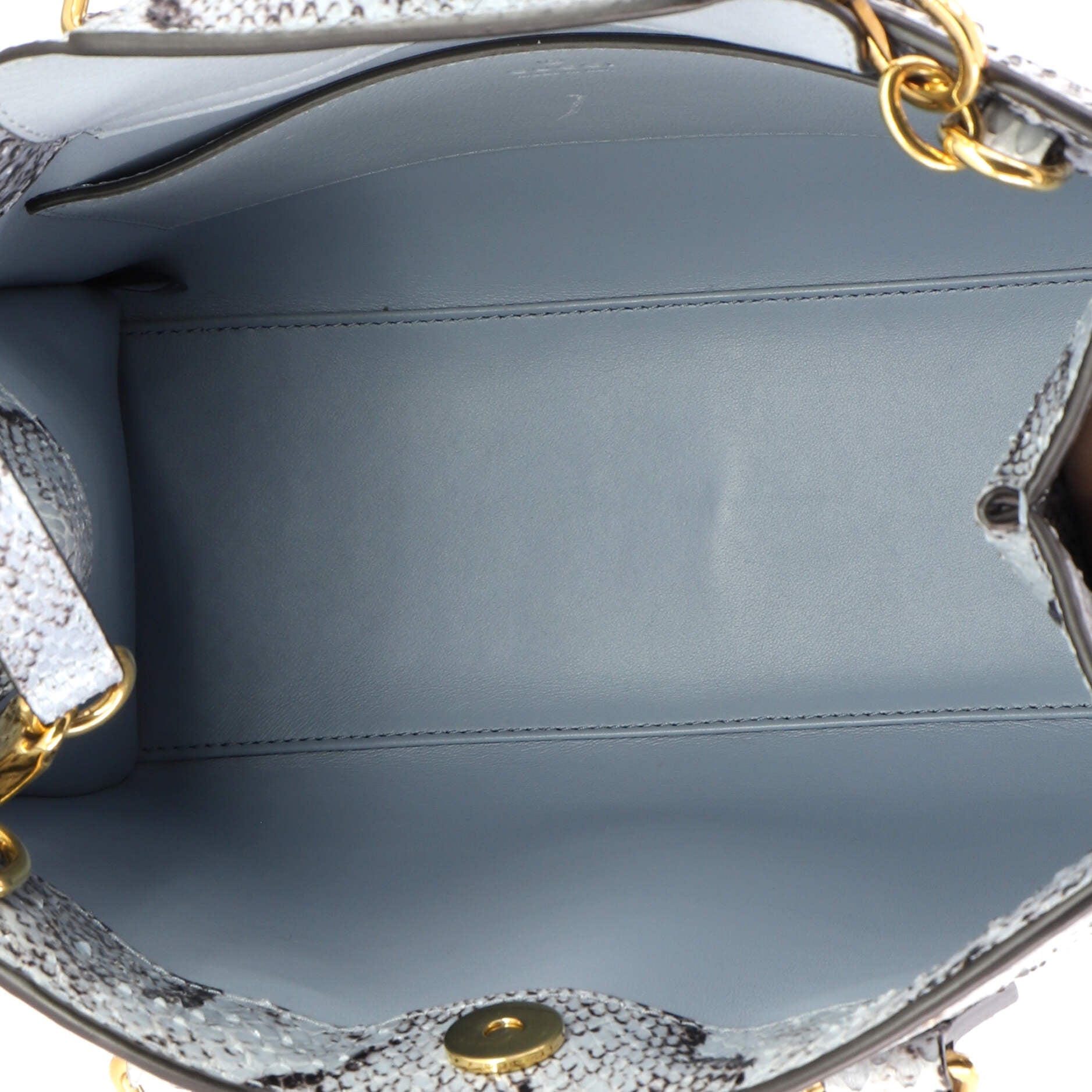 Diana NM Bamboo Handle Tote Python Small