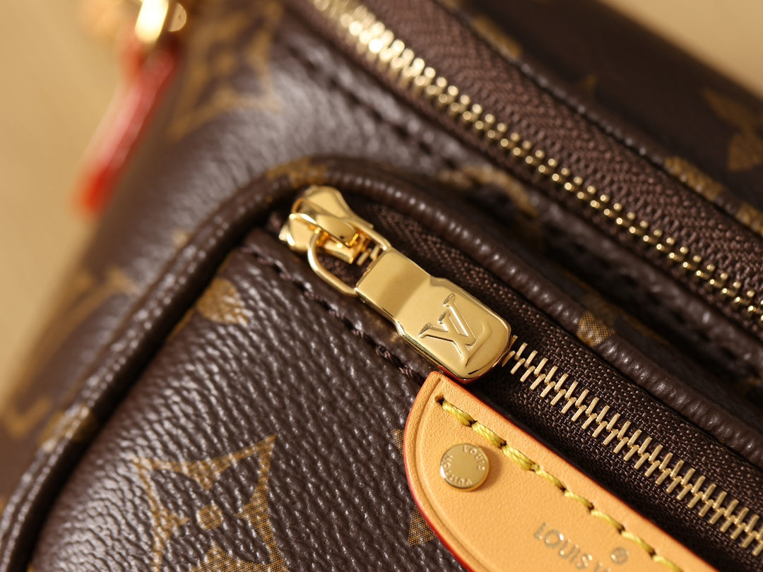 LV Monogram Mini Bumbag Bag